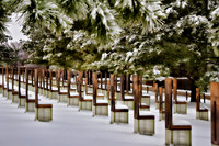 Wintery Field Of Empty Chairs