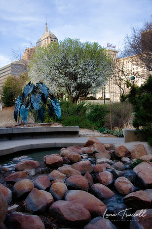 Myraid Gardens