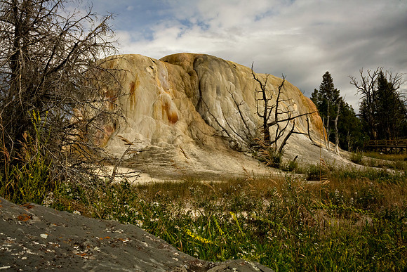 Orange Spring Mound