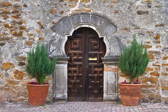 Mission Espada Doors
