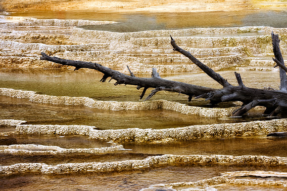 Intricate Mineral Terraces