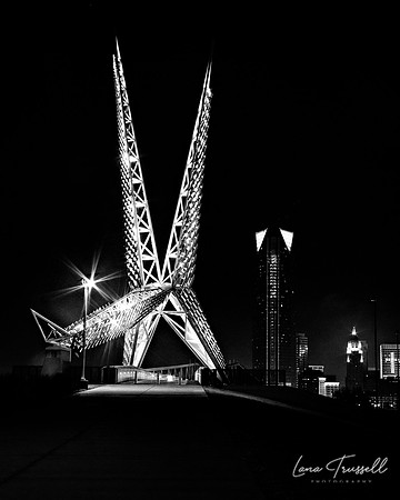 Skydance In the City – BW