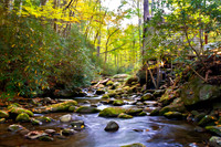 Reagan Mill on Roaring Fork