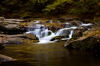 Autumn Along the West Prong