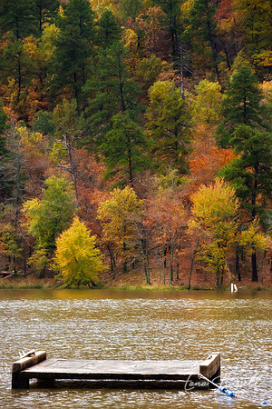 Reflections of Fall — Lake Carlton