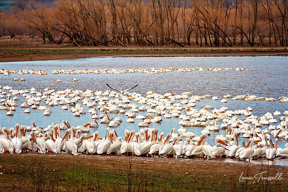 Gathering Before the Journey