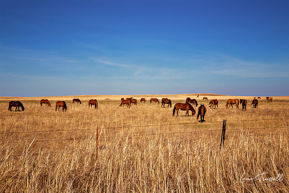 Prairie Spirits of Osage County