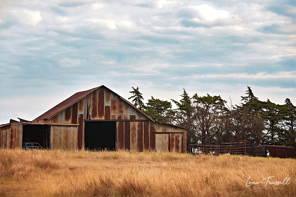 Rust & Prairie Skies