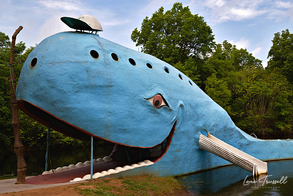 The Smile Along Route 66
