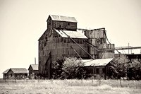 Prairie Sentinel