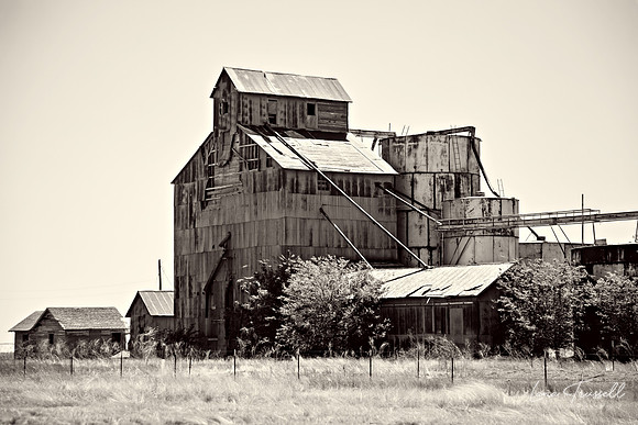Prairie Sentinel