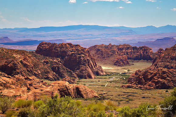 Snow Canyon In Spring