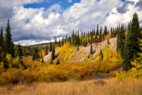 Autumn Along Big Blue Creek