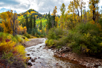 Autumn Along the Dolores River