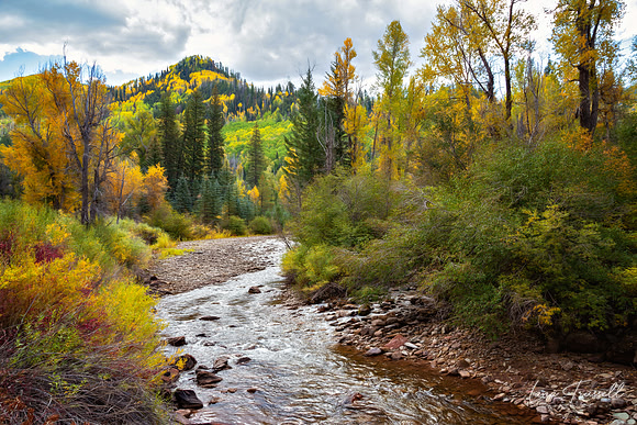 Autumn Along the Dolores River