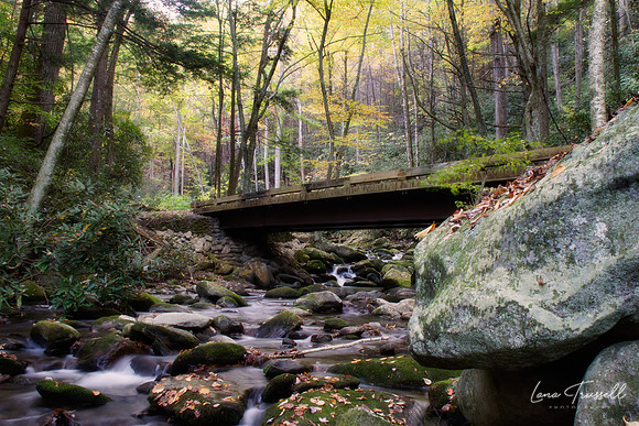 The Roaring Fork