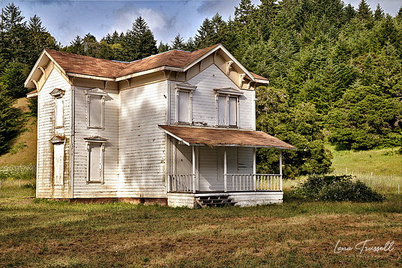 The House the Bats Saved