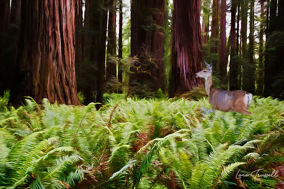 Walk Among Giants