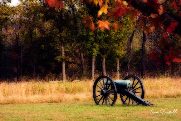Pea Ridge