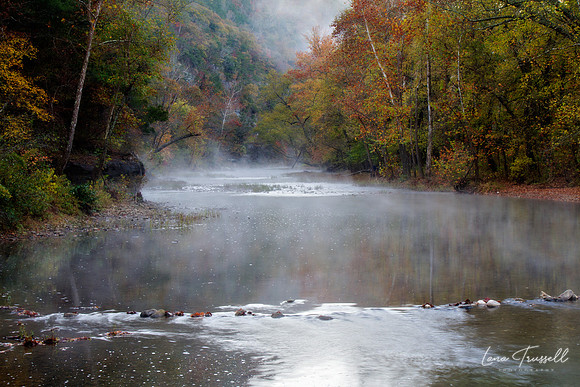 Foggy Morning on The Buffalo