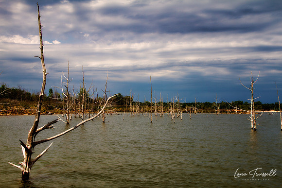 Fishing Cove