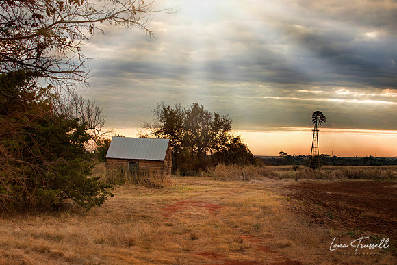 Countryside Morning