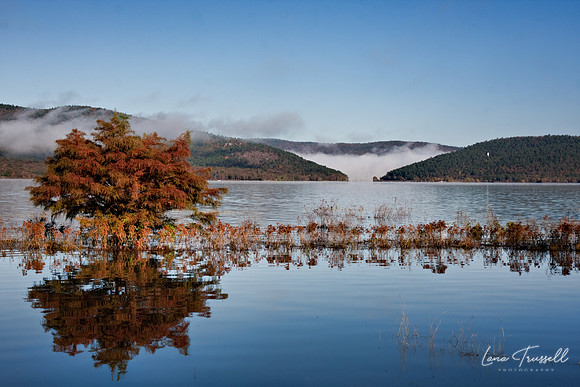 Reflection of Fall