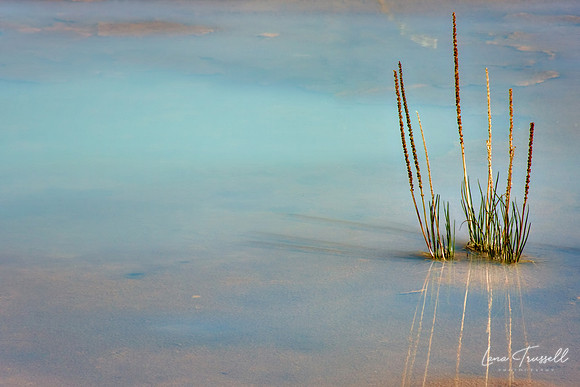 Thermal Reflection