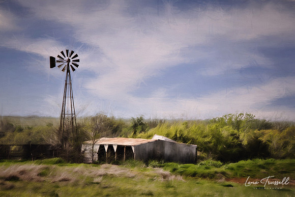 Prairie Farm