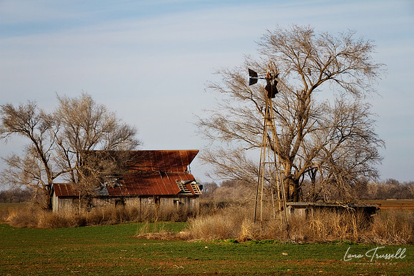 Farmstead 2