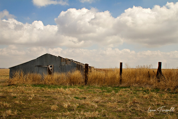 Old Tin Barn