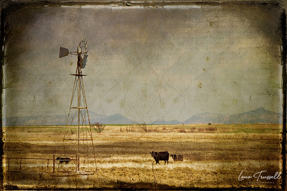 Great Plains