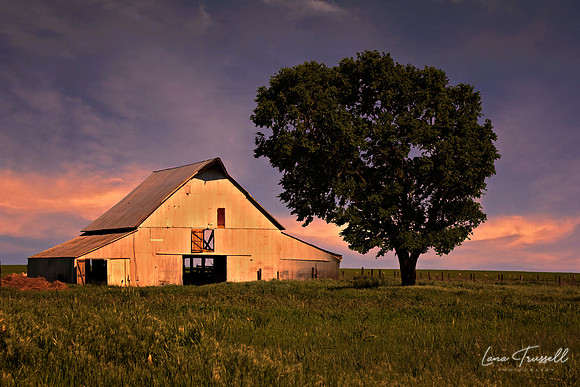Marshall's Farm