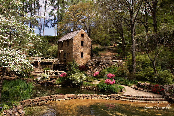 Pugh's Mill