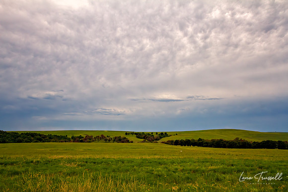 Tall Grass Prairie