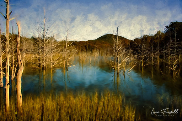 Bare Waters