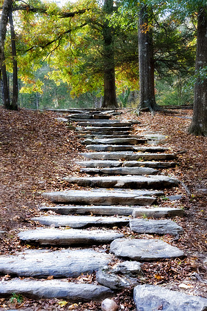 Steps of Fall