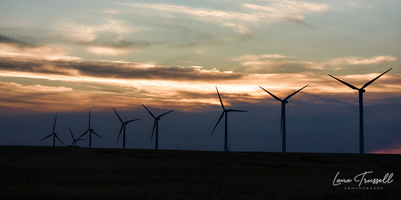 Wind Farm Sunset