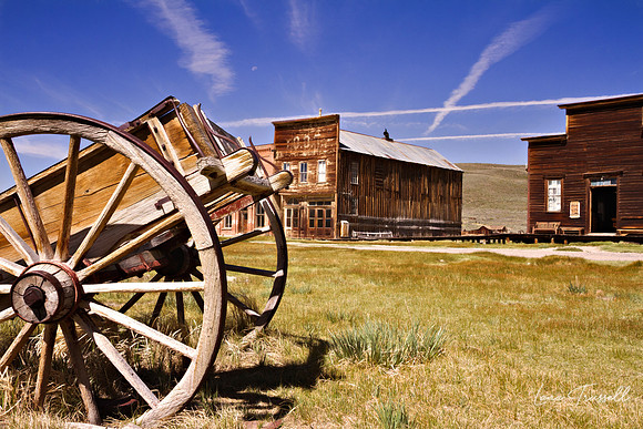Echoes of Bodie