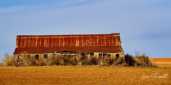 Hanger on the Prairie