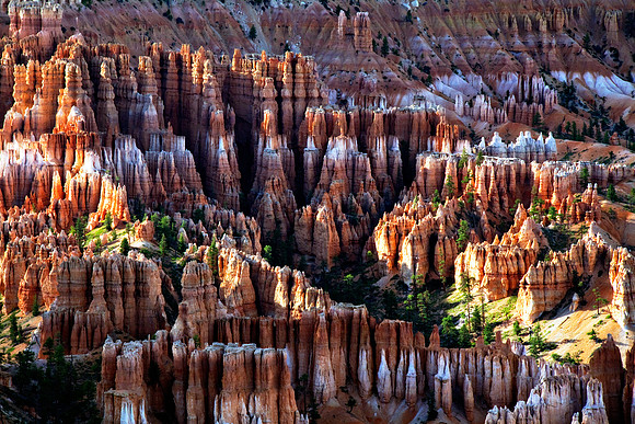 Bryce Point