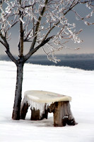 Frozen Surf