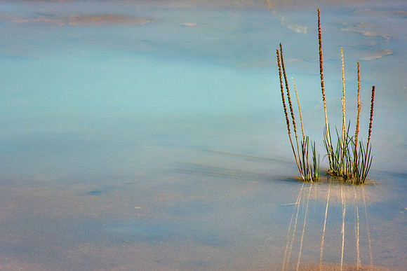 Thermal Reflection