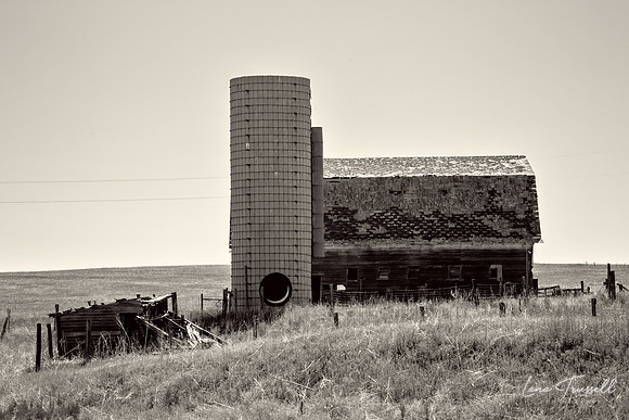 Rural Decay #1