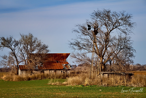 Farmstead 2
